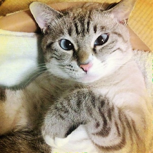 写真 2013-12-03 12 54 30
