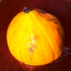 linecamera_shareimage (2)