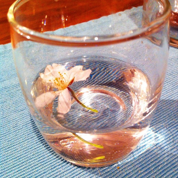 写真 2014-03-31 19 16 02