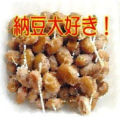 納豆大好き