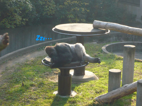 zzzz¡¦¡¦¡¦¡¦