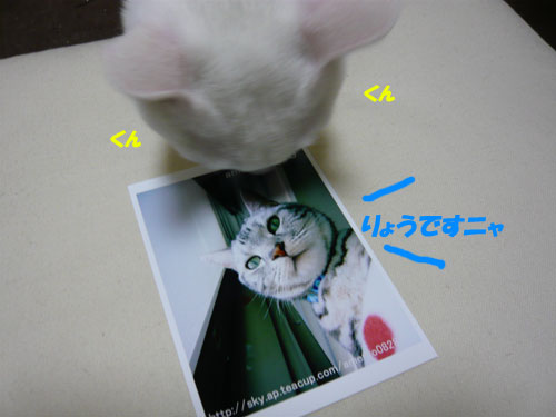 ¤´¤¢¤¤¤µ¤Ä¡ù