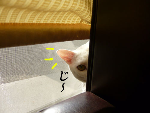 ¤¸¡Á