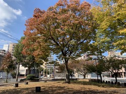 IMG_0008
