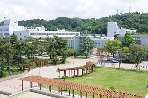 akita