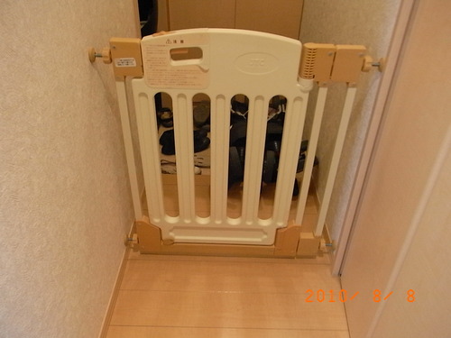 RIMG3919