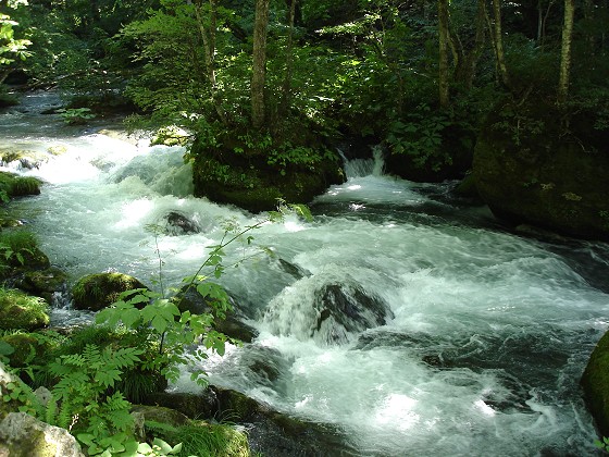 北海道 観光・写真・旅日記サイト <COMPLEX ANALYSIS 4> 奥入瀬渓流 ...