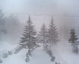 c88cf568.jpg