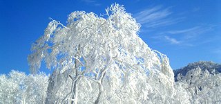 snow