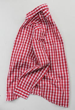 Harriss Big Gingham LS BD RED (5)