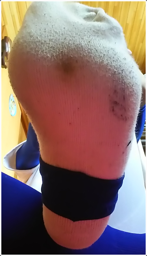 ブログDSC_0269png