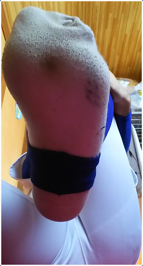 ブログDSC_0270png