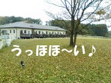 11/3