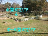 11/18£