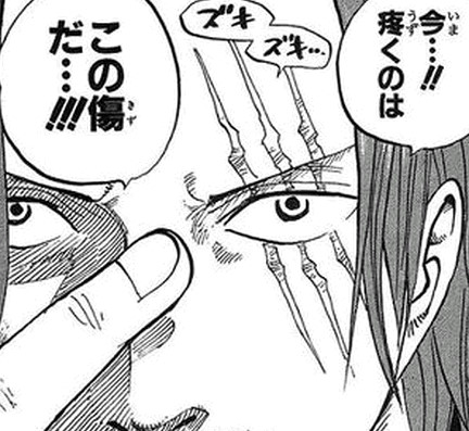 シャンクス四皇の一人。ルフィが信頼する友だち。 ルフィの麦わら帽子もこのシャンクスの物だ麦わら帽子は「いつかきっと返しに来い」と言われているので、