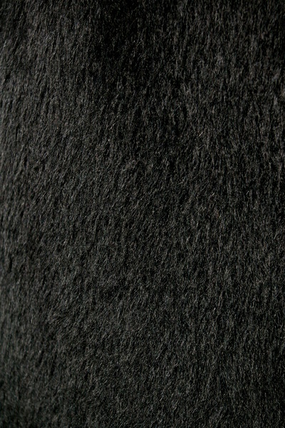 IMGP8142