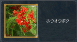 3c81b355.gif