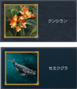 c8fbaae6.gif