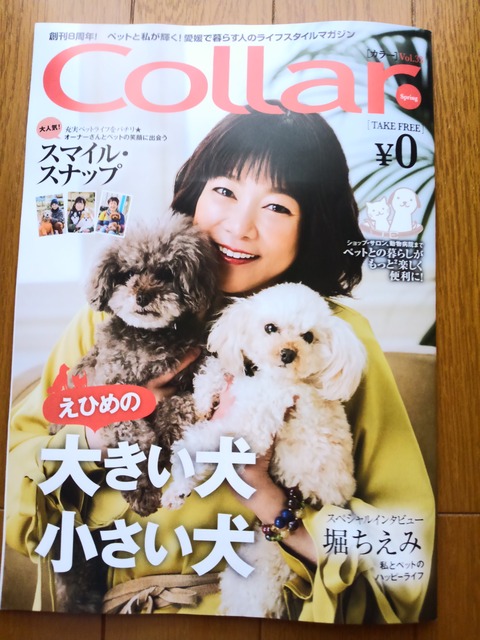 collar表紙