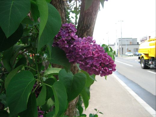 �饤��å�