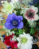 flower4