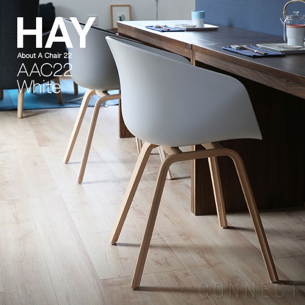 hay-aac22-wh_2