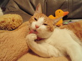 56a55d2c.JPG
