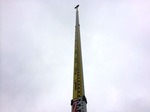 5m上から撮影