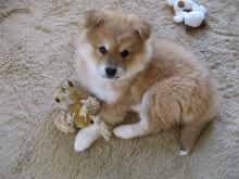 2b224c3e.jpg