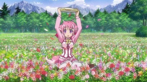 dogdays45
