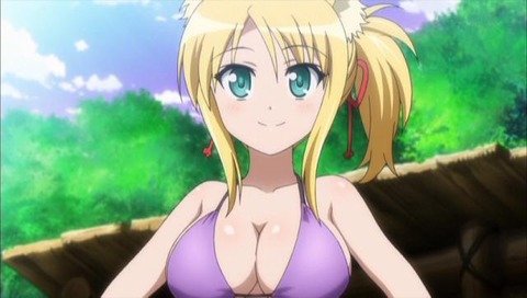 dogdays98