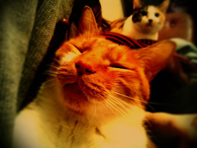 lento_20120212202400