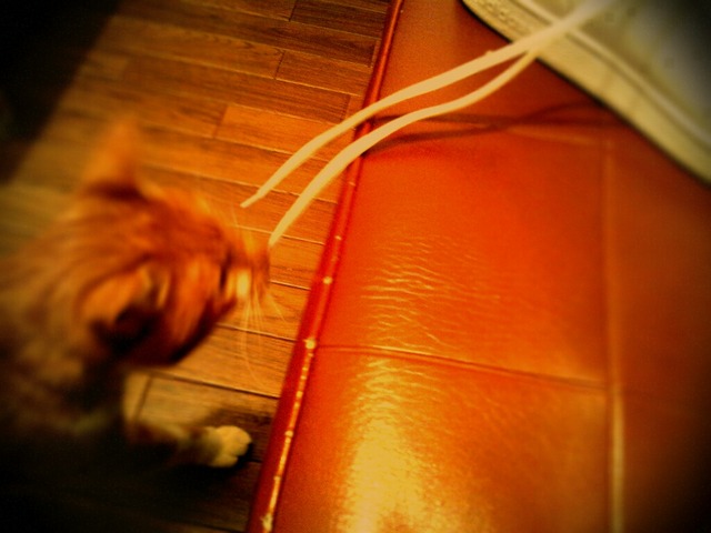 lento_20120212202539