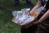 IMG_7931