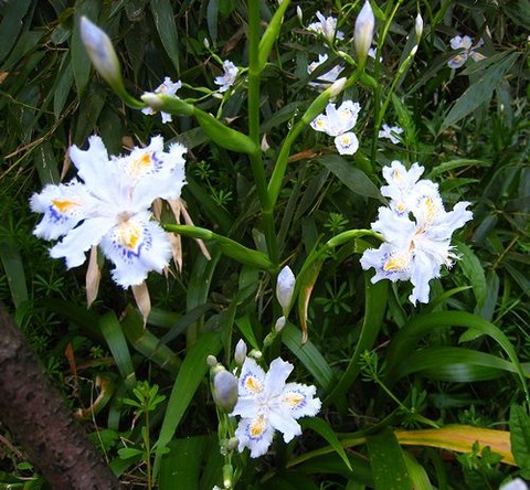 20140423 011