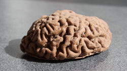 How-To-Eat-Your-Own-Chocolate-Brain-00a