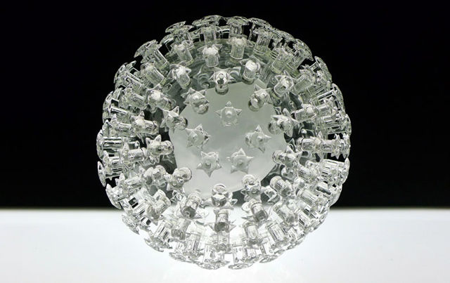 Human-Papillomavirus-01