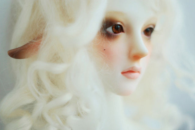 oso_polar-19