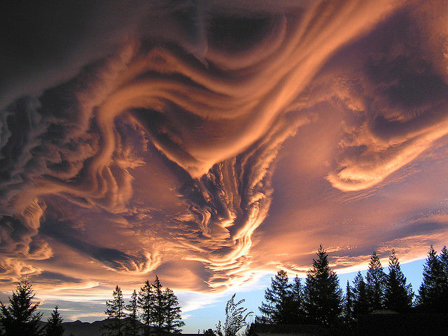 新種 アスペラトゥス波状雲(Undulatus asperatus) の荘厳で異常な世界 15選