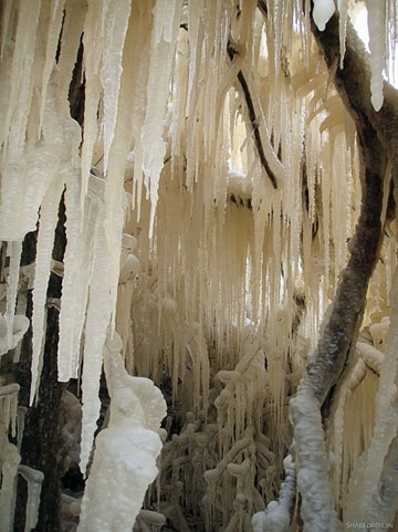 0f68020a.jpg