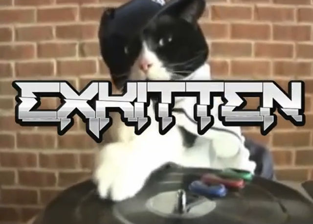 Exkitten