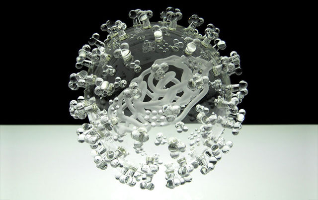 Swineflu-01