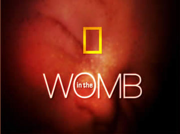 in the WOMB - 胎内の赤ちゃんの神々しい映像
