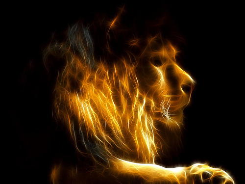 Fractalius-Cat-13