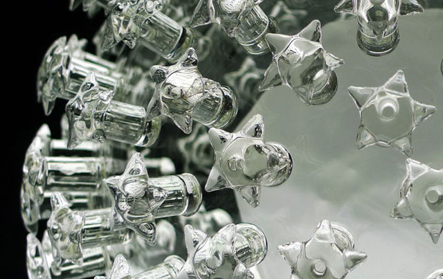 Human-Papillomavirus-02