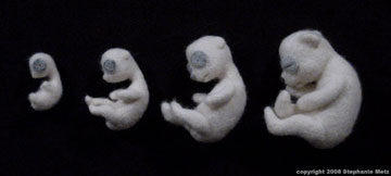 5412b725.jpg