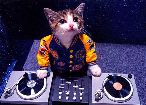ぬこDJ