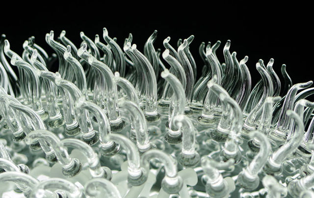 Ecoli-02