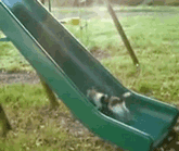 滑り台と猫