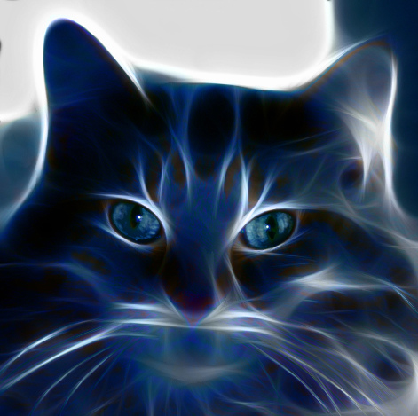 Fractalius-Cat-11